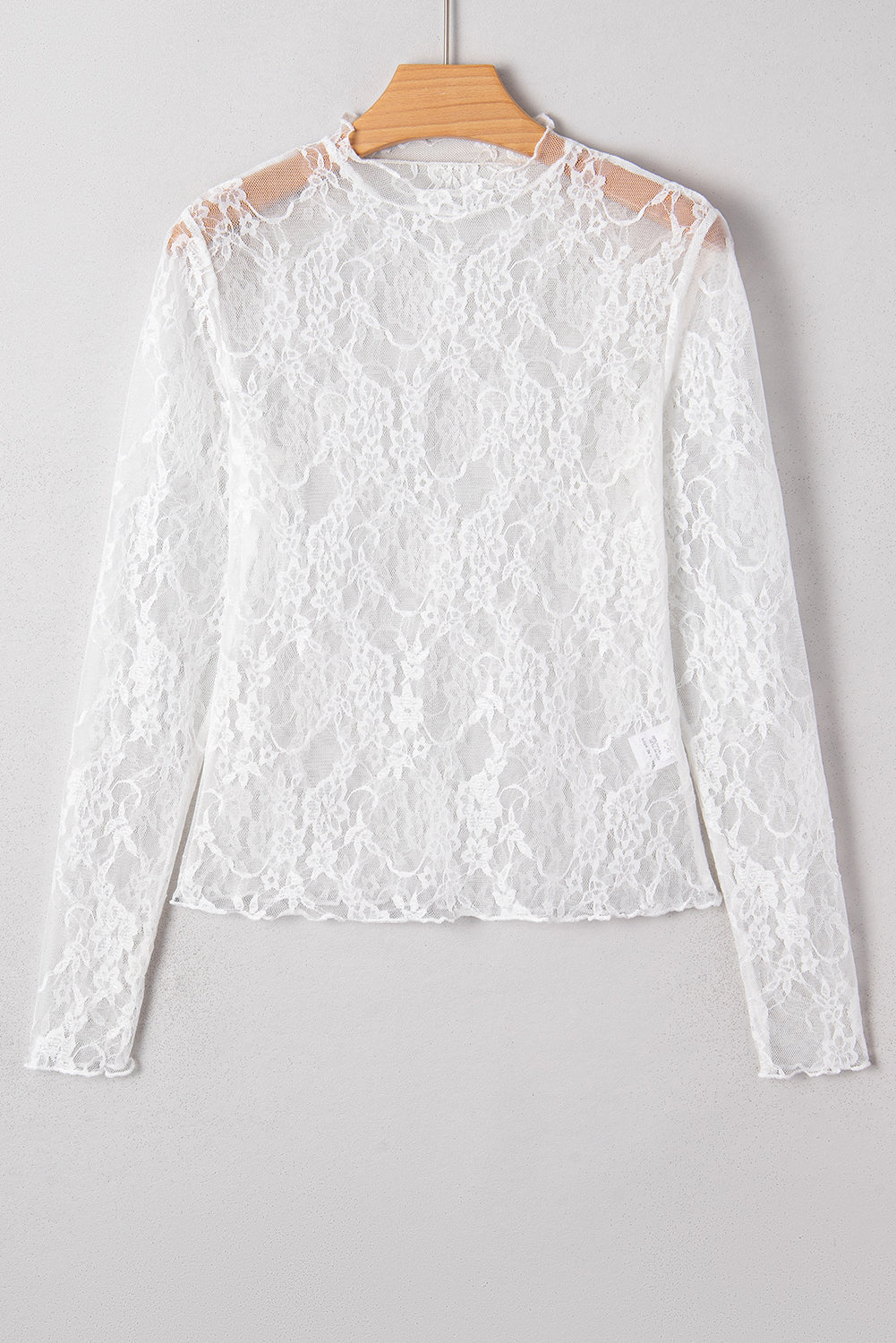 Lace Mesh Long Sleeve Top 🤍